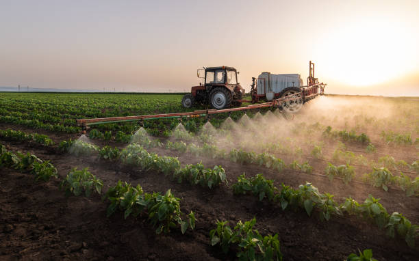 Best Mosquito Control Services  in Libertyvle, IL