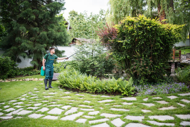 Best Pest Prevention Services  in Libertyvle, IL