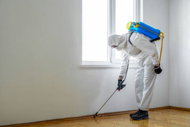 Best Exterminator Services  in Libertyvle, IL