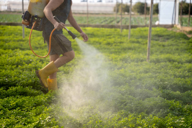 Best Mosquito Control Services  in Libertyvle, IL