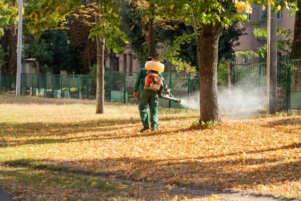 Best Pest Control Near Me  in Libertyvle, IL