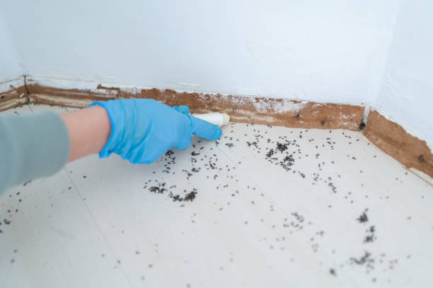 Best Residential Pest Control  in Libertyvle, IL