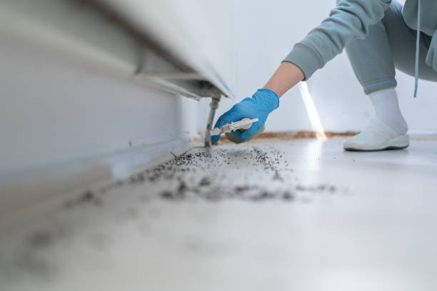 Best Affordable Pest Control Services  in Libertyvle, IL