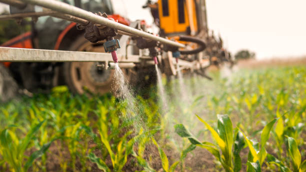 Best Wildlife Control Services  in Libertyvle, IL